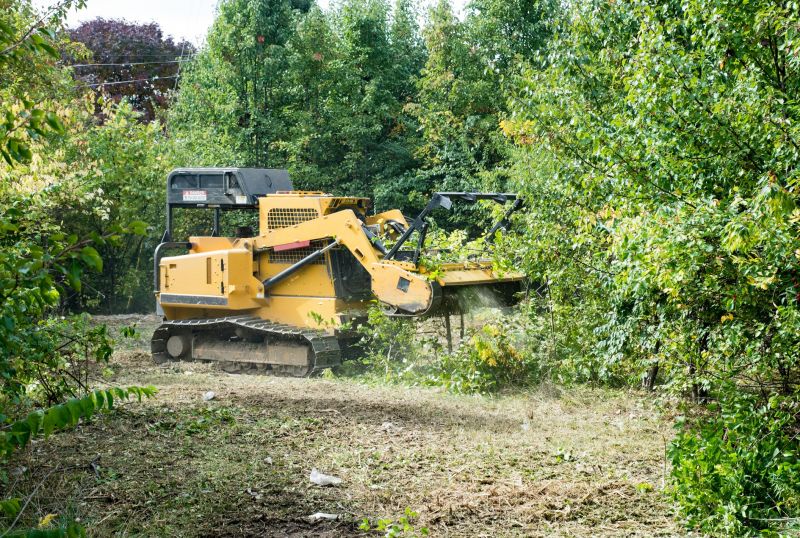 Foliage Clearing Equipment in Action