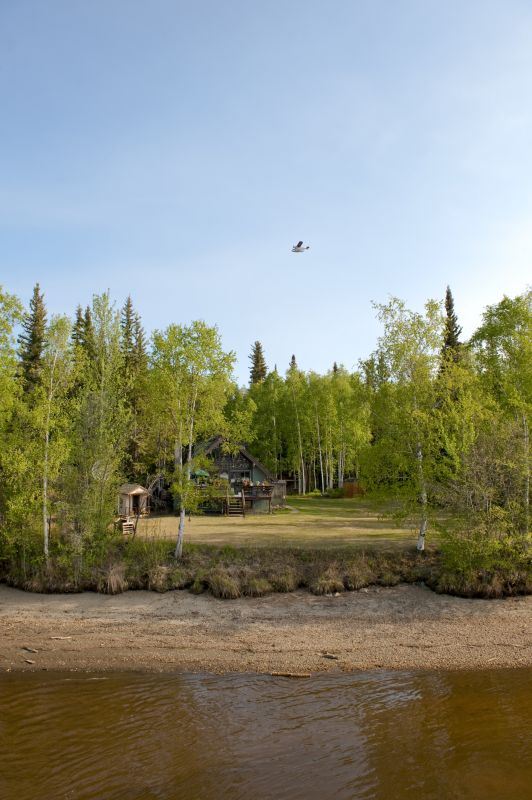 Open Space After Foliage Removal