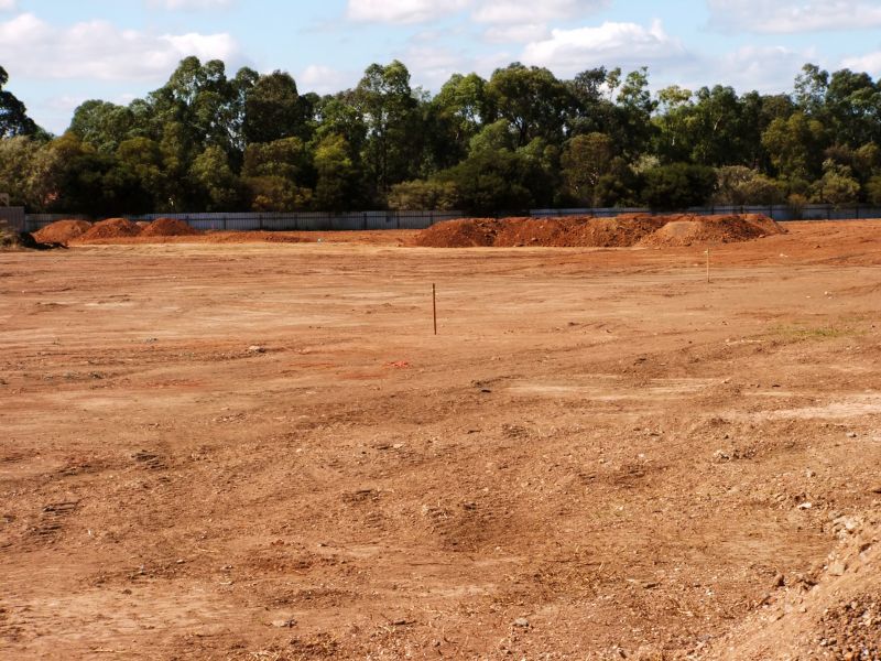 Landscape Enhancement