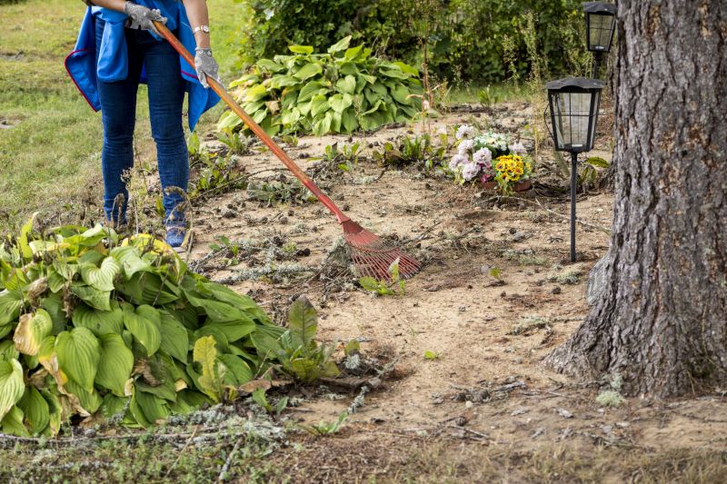 Contact About Foliage Clearing